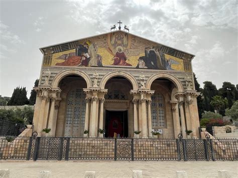 Volta del soffitto della Basilica delle Nazioni che raffigura un cielo stellato con rami di ulivo