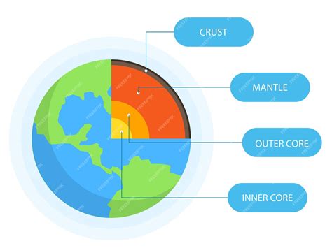 Infografica sulla struttura della 